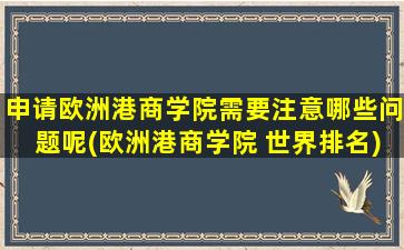 申请欧洲港商学院需要注意哪些问题呢(欧洲港商学院 世界排名)